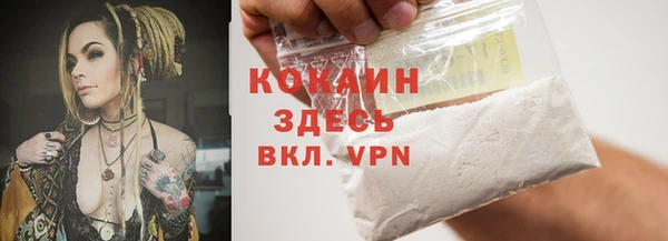 дмт Вяземский