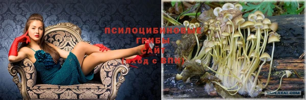 марихуана Вязники