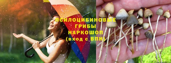 спайс Вязьма