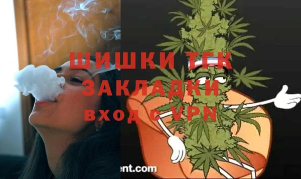 прущие грибы Россошь