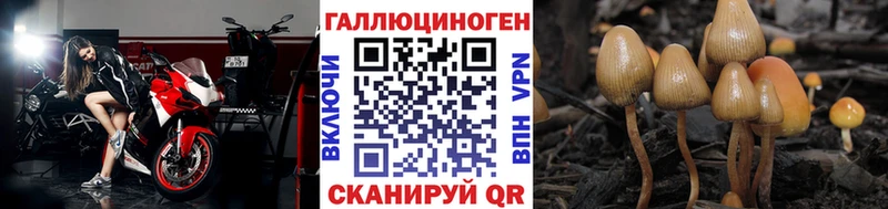 hydra маркетплейс  купить закладку  Заозёрный  Псилоцибиновые грибы Cubensis 